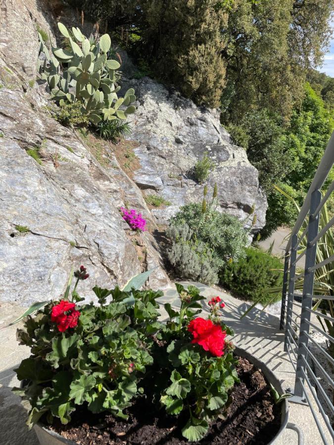 Villa Petrera Valle-di-Campoloro 外观 照片